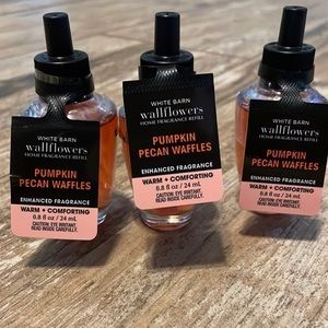 Bath and Body Works Wallflower Plug-in.